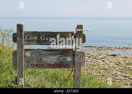 Beachy Head, East Sussex, UK. 18 juin 2017. Un ciel bleu et ensoleillé chaud météo à Beachy Head dans l'East Sussex, où une marée basse 12,30 activé la sécurité de l'accès à la plage par l'écart de la vache. Credit : Julia Gavin UK/Alamy Live News Banque D'Images