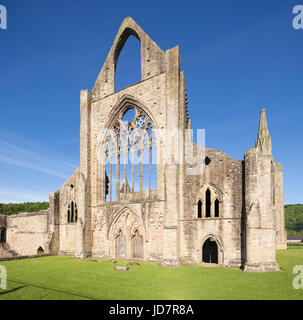 Abbaye de Tintern dans la vallée de la Wye, Monmouthshire, Wales, UK Banque D'Images