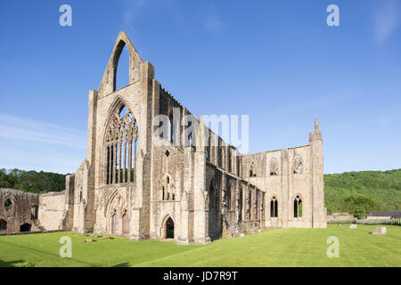 Abbaye de Tintern dans la vallée de la Wye, Monmouthshire, Wales, UK Banque D'Images