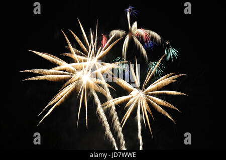 Feux d'artifice en forme de palmier - USA Independence Day Banque D'Images