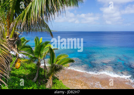 Scène tropicale de coraux dans l'eau turquoise ci-dessous palmiers et cocotiers se balançant dans breeze sur ocean horizon lointain. Banque D'Images