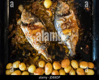Le poisson cuit au four, accompagné de pommes de terre à l'or et les olives dans un plat blanc. Plat typiquement portugaise. Banque D'Images