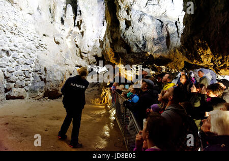 Un guide montrant les gens rock formations dans une grande caverne Masson à des hauteurs d'Abraham, Matlock Bath, Derbyshire, Angleterre Banque D'Images