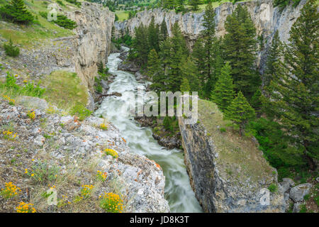 Dans la rivière Boulder Boulder canyon ci-dessous tombe près de Big Timber, Montana Banque D'Images