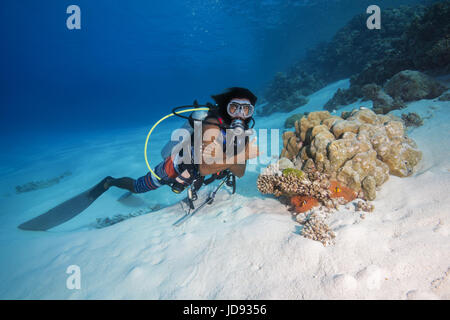 Scuba Diver mâle regardez sur peu de coraux sur fond de sable, de l'Océan Indien, les Maldives Banque D'Images