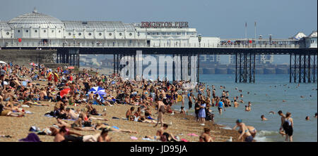 Les gens apprécient le temps chaud sur la plage de Brighton, East Sussex. Banque D'Images