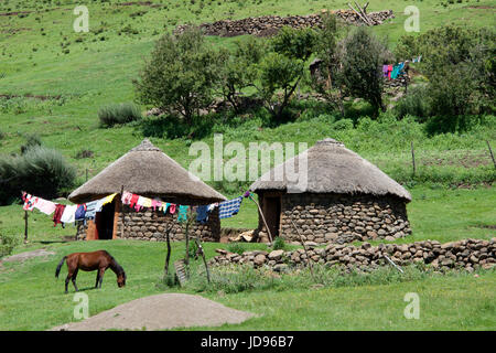 Deux rondavels en pierre avec des toits de chaume traditionnels près de Les Lagier District de Maseru Lesotho Afrique du Sud Banque D'Images