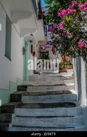 Rue étroite sur la magnifique île grecque de Skopelos Banque D'Images