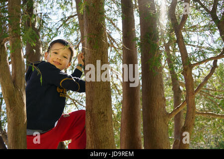 Smiling Young boy climbing tree en extérieur avec du soleil à travers les arbres. Banque D'Images