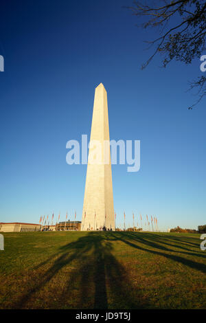 Washington Monument contre un ciel bleu clair, Washington DC, USA. Washington capital usa 2016 automne Banque D'Images
