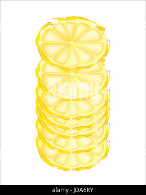 Tranches de citrons sur fond blanc Illustration de Vecteur