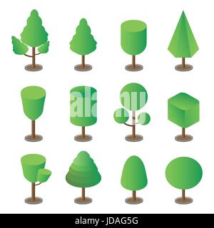 Arbres, arbres isométrique isolé sur fond blanc. vector illustration. Illustration de Vecteur