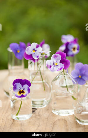 Fleur sur la verrerie en chimie, décoration de table de jardin Banque D'Images