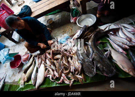 PAKSE, LAOS - Août 12 : vue sur un marché à Pakse ville est la troisième ville la plus peuplée au Laos avec une population d'environ 87 000 s de Champasak distric Banque D'Images