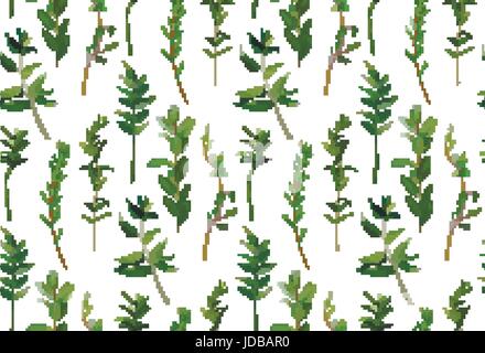 L'eucalyptus et de verdure, de feuillage d'arbres différentes branches naturelles, feuilles vert motif transparent tropical dans un style aquarelle. Vector beauti décoratif Illustration de Vecteur