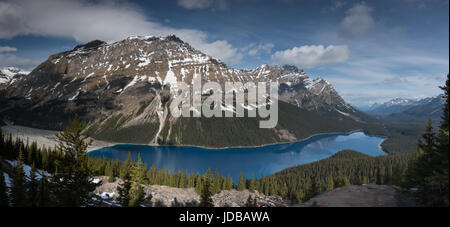 Panorama du lac Peyto Banque D'Images