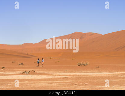 DEAD VLEI, NAMIBIE - le 19 juin 2016 : à Dead Vlei dans Namib-Naukluft National Park, le désert du Namib, Namibie. Banque D'Images