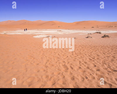 DEAD VLEI, NAMIBIE - le 19 juin 2016 : à Dead Vlei dans Namib-Naukluft National Park, le désert du Namib, Namibie. Banque D'Images