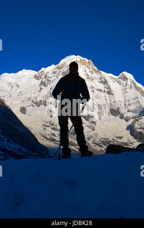 Silhouette d'un touriste randonneur sur l'Annapurna South Peak Mountain, au Népal. Banque D'Images