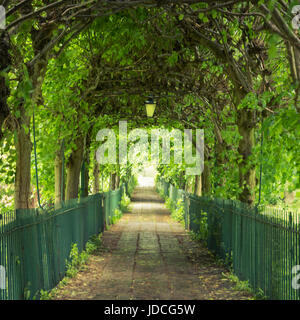 The Birdcage Walk à Clifton, Bristol Banque D'Images