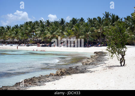 Les plages idylliques de l'île de Saona, en République Dominicaine Banque D'Images