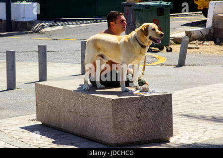 Un homme et son chien labrador sur un socle de marbre de l'emplacement en plein soleil la rue principale de Playa Las dans Amrericas Teneriffe sur une chaude journée d'été Banque D'Images