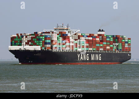 Le porte-conteneurs YM Wondrous quitte le port d'Anvers et passe Terneuzen. Banque D'Images