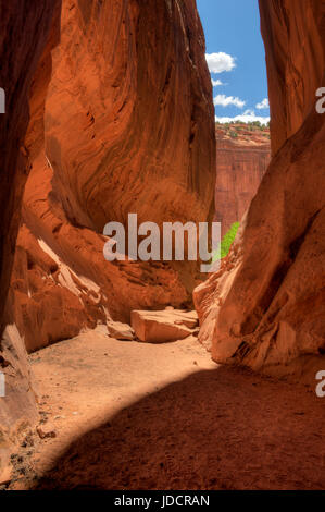 Une slot canyon dans le côté du Canyon depuis longtemps, dans le Grand Staircase-Escalante National Monument, près de Boulder, Utah Banque D'Images