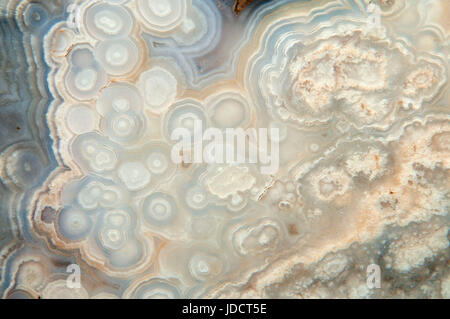 Lace agate mexicaine Banque D'Images