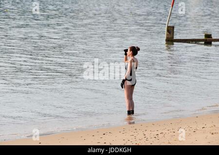 Swanage, Dorset, UK. 20 juin 2017. Météo britannique. Un nageur en tenant un matin tôt à profiter de la station balnéaire de Swanage dans le Dorset sur un matin de soleil voilé chaud. Crédit photo : Graham Hunt/Alamy Live News Banque D'Images