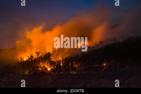 Pera, le Portugal. 20 Juin, 2017. Les flammes et la fumée épaisse peut être vu pendant la nuit sur une montagne à environ 190 kilomètres au nord-est de Lisbonne dans le village de Pera, Portugal, 20 juin 2017. La brigade de pompiers tente de contrôler les flammes de la rue. Les feux de forêt dévastateurs impliquant plusieurs décès a été causé par la foudre, la police informe. Dpa : Crédit photo alliance/Alamy Live News Banque D'Images