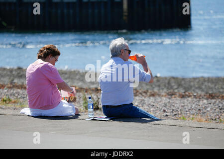 Largs, UK. 20 Juin, 2017. Chaude journée ensoleillée à Largs sur la côte Clyde. Un homme bénéficie d'un rafraîchissement de l'IRN Bru. Credit : ALAN OLIVER/Alamy Live News Banque D'Images