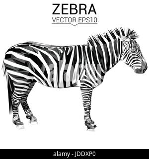 Animal Zebra design poly faible. Illustration de Vecteur