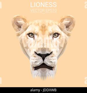 Lionne animal cat low poly design. Illustration vecteur de triangle. Illustration de Vecteur