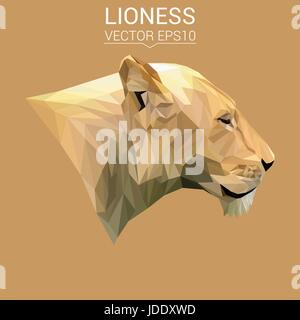 Lionne animal cat low poly design. Illustration vecteur de triangle. Illustration de Vecteur