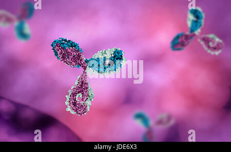 Les corps en rose et rouge fond Banque D'Images