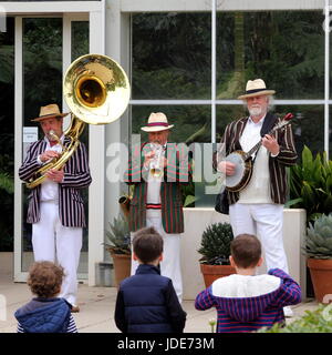 Wisley, Surrey, UK - 30 Avril 2017 : Trois petits jeunes enfants à l'écoute de trois anciens musiciens de jazz trad Banque D'Images