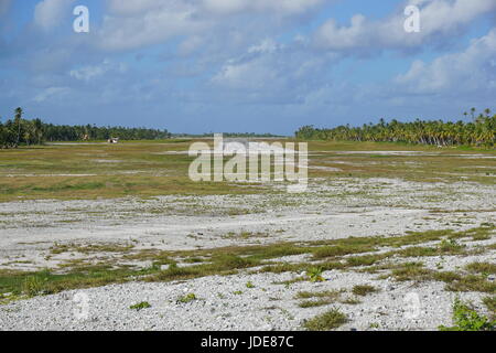 Le champ d'atterrissage de l'avion sur l'atoll de Tikehau bordée par les plantations de cocotiers, l'archipel de Tuamotu, Polynésie Française, Pacifique sud Banque D'Images