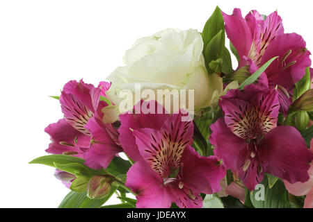 Bouquet de roses blanches gros et rose et lilas fleurs alstroemeria isolé sur fond blanc Banque D'Images