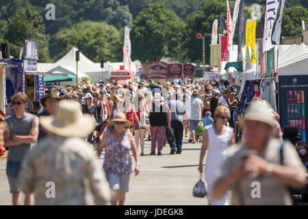 Royal Welsh Show 2016 au Royal Welsh Showground, Llanelwedd, Builth Wells, Powys, Wales, UK, 19 juillet 2016. Banque D'Images