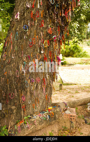 Arbre mort contre lequel les bourreaux frappent les enfants. Choeung Ek Killing Fields, près de Phnom Penh, Cambodge Banque D'Images