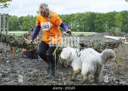 Aujourd'hui, l'adoption de l'Ambassadeur David Gandy, et des partisans de l'organisme de bienfaisance - Actrices Rosie Marcel et Joanna Scanlan, ont pris part à l'chien boueux Défi pour aider à recueillir des fonds pour l'adoption de chiens et chats à la maison. Plus de 900 participants se sont joints à eux dans la course de chiens boueux qui a eu lieu à Windsor Great Park. Comprend : l'investiture Où : Windsor, Royaume-Uni Quand : 20 mai 2017 Credit : Alan West/WENN.com Banque D'Images