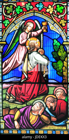 Histoire de Pâques, Jésus prie dans le jardin de Gethsémané, par le Mont des Oliviers, alors que le sommeil des disciples, vitrail par William Warrington, 1854, Banque D'Images