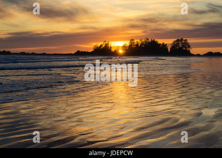 Chesterman Beach près de Tofino (Colombie-Britannique) Banque D'Images