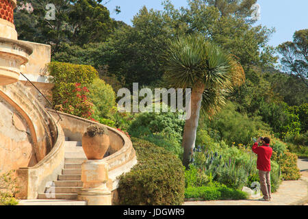 France, Var (83), le Cavalaire-sur-Mer, le domaine du Rayol, escalier menant à la terrasse de l'Hôtel de la mer bordé par le jardin des Canaries (uti Banque D'Images