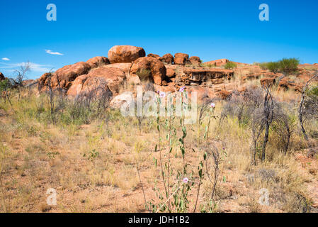 Devils Marbles - rochers de granit rouge est équilibré sur substrat rocheux, l'Australie, Territoire du Nord. Banque D'Images