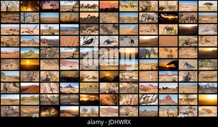 Une variété d'images de la Namibie comme un grand mur d'image, Documentary Channel Banque D'Images
