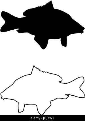 Silhouette vecteur, la carpe (Cyprinus carpio), Illustration de Vecteur