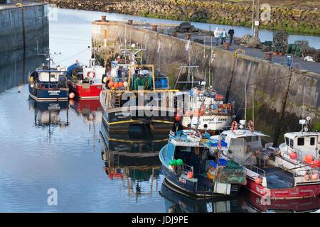 Soleil du soir sur les bateaux de pêche dans le port de Seahouses, Northumberland, England Banque D'Images