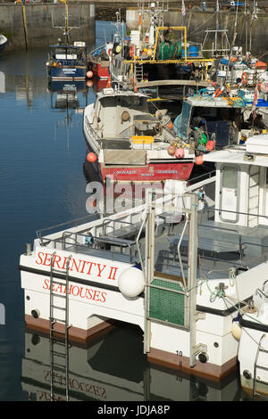 Soleil du soir sur les bateaux de pêche dans le port de Seahouses, Northumberland, England Banque D'Images